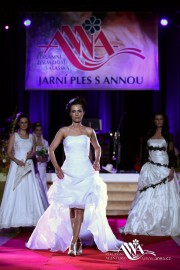 FOTOGALERIE - 20. Jarní ples s ANNOU 2014