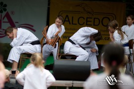 FOTOGALERIE - 22. Den dětí s ANNOU 2014