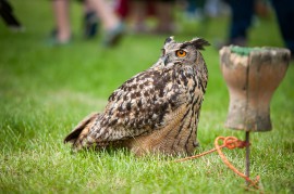 FOTOGALERIE - 24. Den dětí s ANNOU 2016
