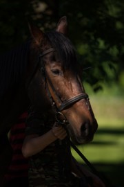 FOTOGALERIE - 25. Den dětí s ANNOU 2017
