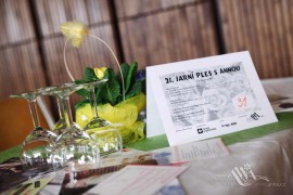 FOTOGALERIE - 21. Jarní ples s ANNOU 2015