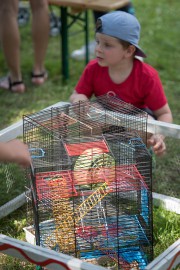 FOTOGALERIE - 26. Den dětí s ANNOU 2018