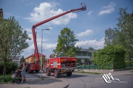 FOTOGALERIE - 27. Den dětí s ANNOU 2019