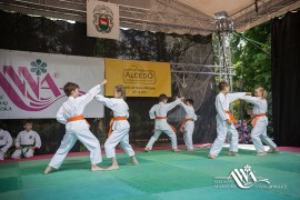 FOTOGALERIE - 27. Den dětí s ANNOU 2019