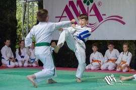 FOTOGALERIE - 27. Den dětí s ANNOU 2019